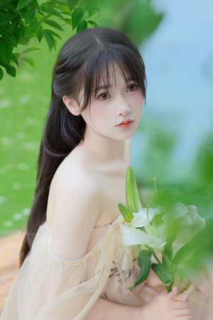 呢图网图库图片设计